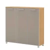 3 türiger Schuhschrank Diecca in Taupe Glas beschichtet