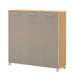 3 türiger Schuhschrank Diecca in Taupe Glas beschichtet