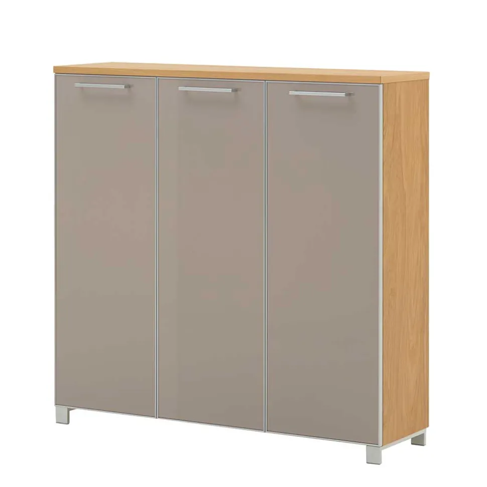 3 türiger Schuhschrank Diecca in Taupe Glas beschichtet