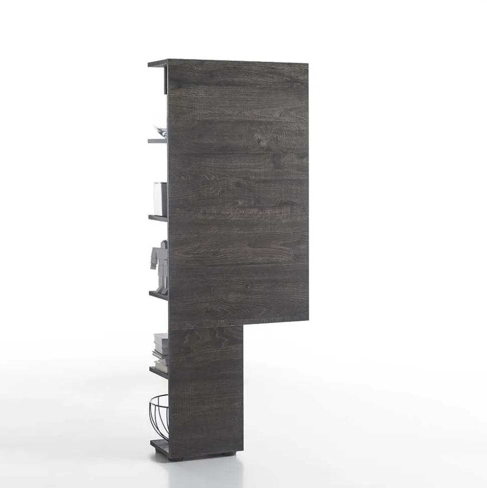 Anstellregal Element Riconia in Wenge Braun