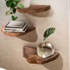 Baumscheiben Wandboards aus Akazie Massivholz - Tofana (dreiteilig)