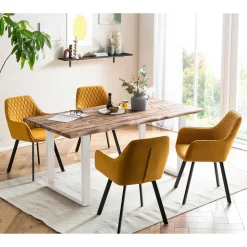Esszimmer Sitzgruppe mit Tisch - Festlox (fünfteilig)