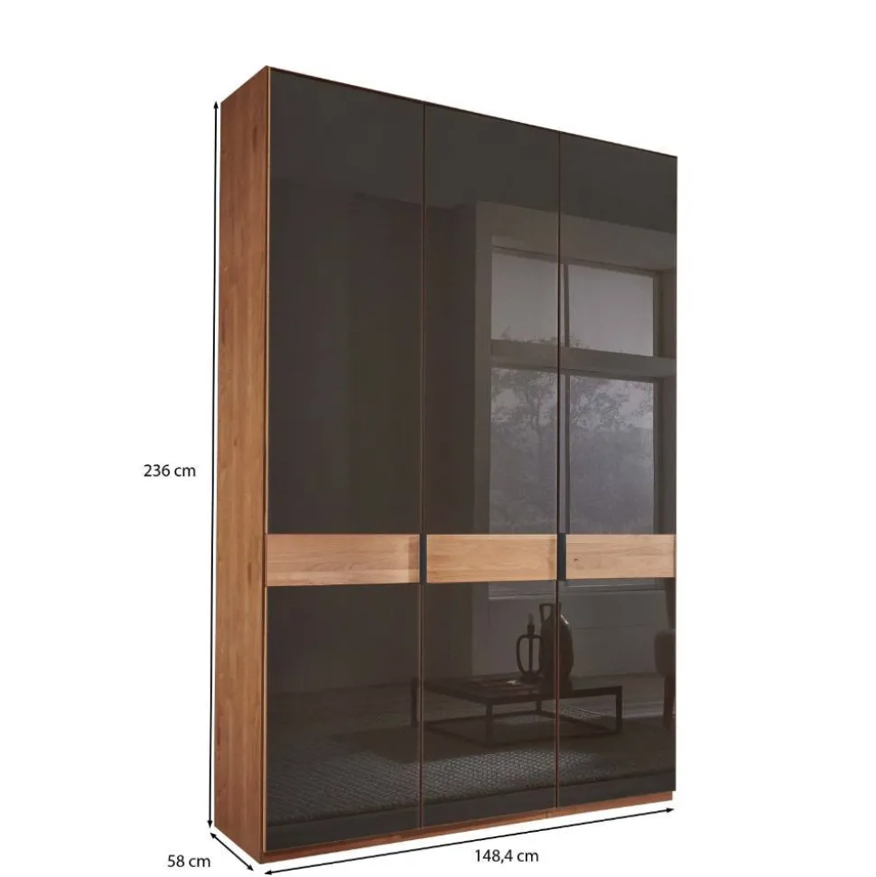 Glasfront-Schlafzimmerschrank in Dunkelbraun - Hung