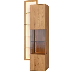 Hängende Vitrine mit Regal modern - Cocondar