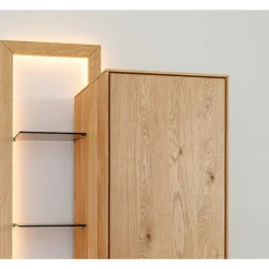 Hängende Vitrine mit Regal modern - Cocondar