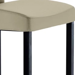 Küchenhocker mit Rückenlehne - 65 cm Sitzhöhe - Vrona