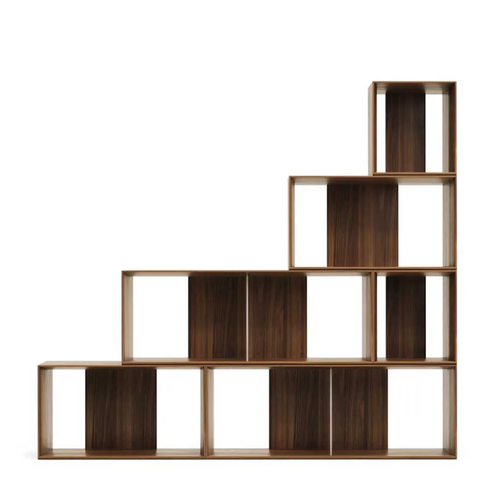 Regal Modul Kombi in Nussbaum - Ovarion (sechsteilig)