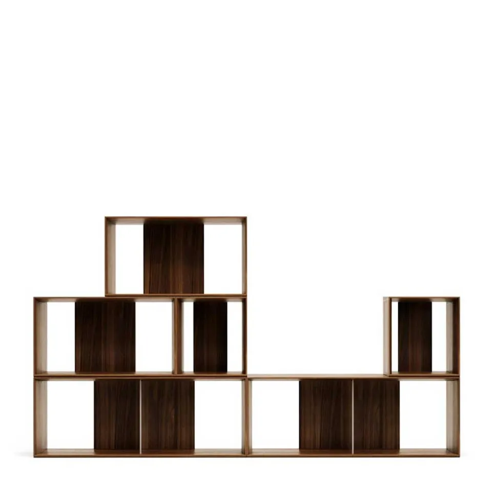 Regal Modul Kombi in Nussbaum - Ovarion (sechsteilig)