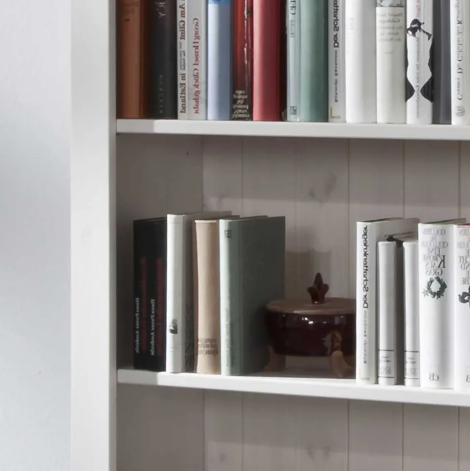 Regal Satumare für Bücher