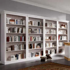 Regal Satumare für Bücher