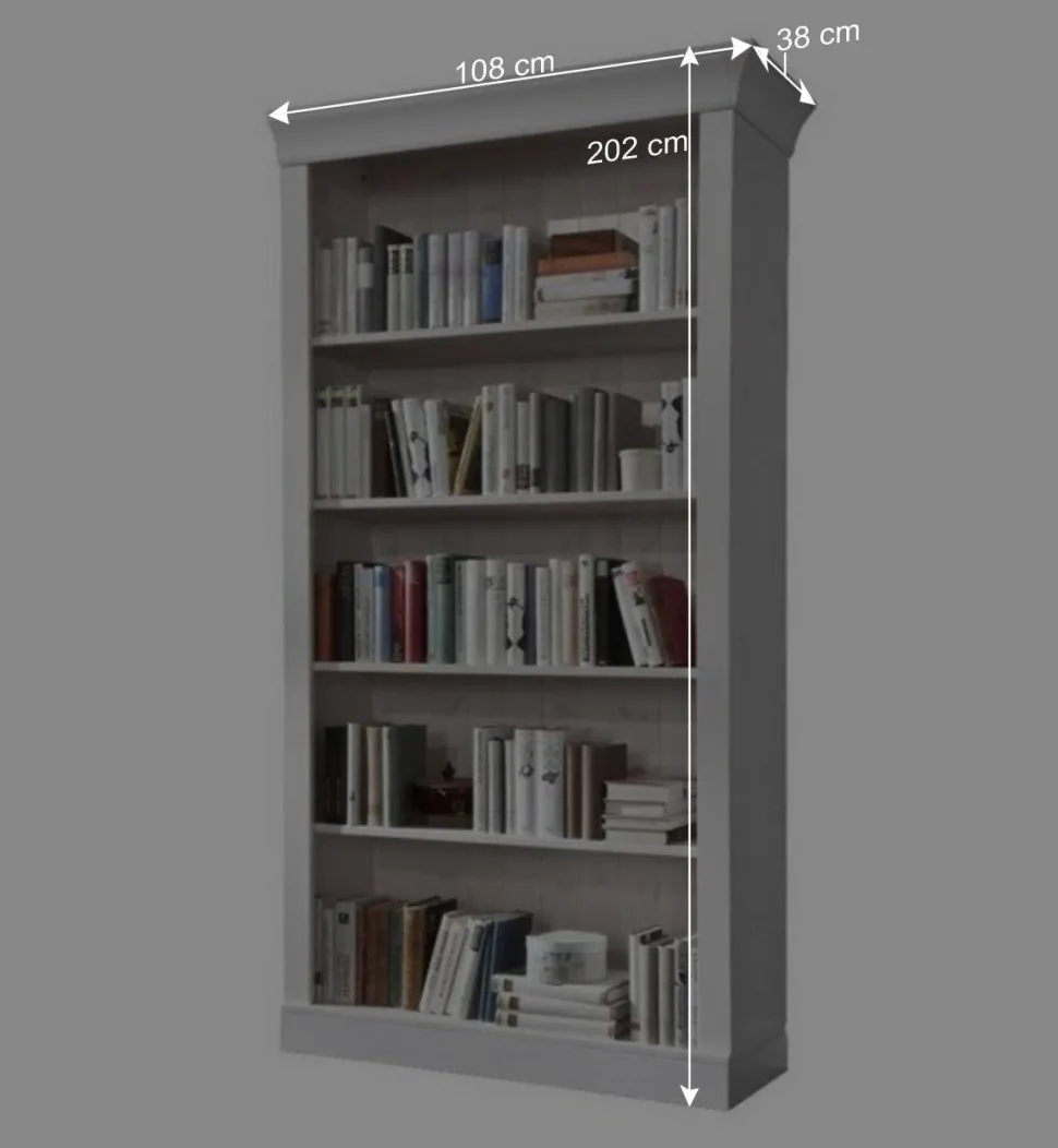 Regal Satumare für Bücher