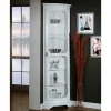 1-türige Eckvitrine im Vintage Design - Zarinas