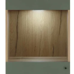 Vitrinenschrank in Graugrün mit Wildeiche - Oliva