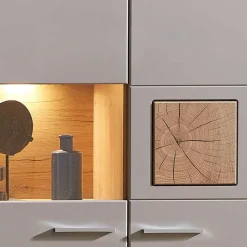 Wohnzimmer Hängeschrank mit Glaseinsatz in Grau - Fraguca