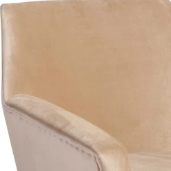 Wohnzimmer Polstersessel in Beige Samtvelours - Enzuena
