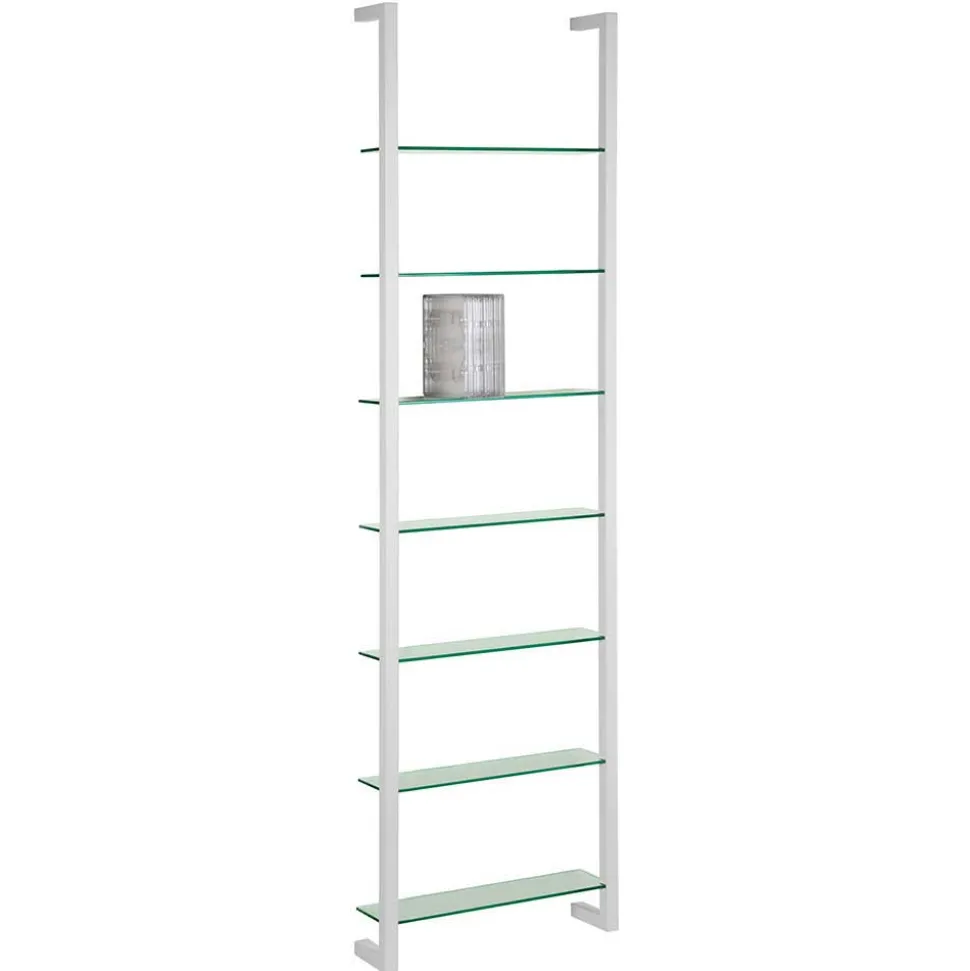 46x167 cm Hängeregal für CD & DVD & Bücher - Voitara