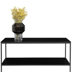 100x45x36 cm Regal TV Tisch in Schwarz - Mapsy