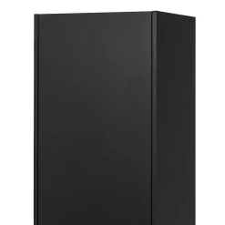 44x188x35 cm 1-türiger Schrank in Schwarz lackiert - Riley