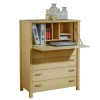 85x110x43 Schrank mit Schreibklappe - Settsura
